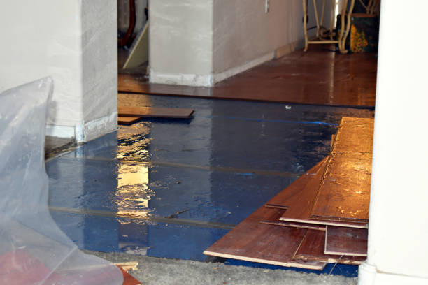 Professional Flood Cleanup technician working in Collins, WI